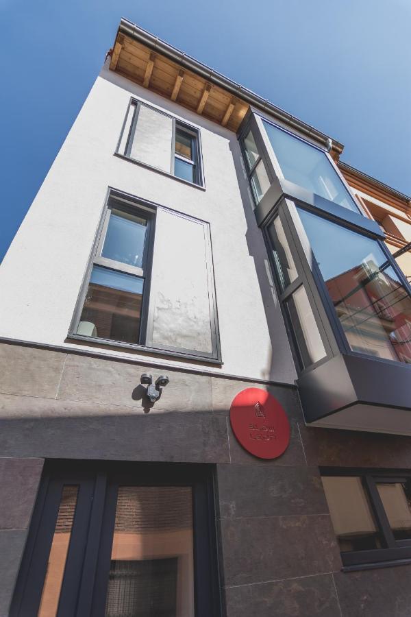 Slow Leon Apartamentos Turisticos المظهر الخارجي الصورة
